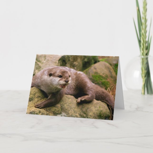 Angry Otter Greeting Cards (Front)