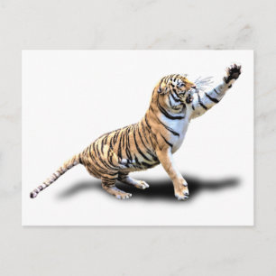 ANGRY TIGER POSTCARD