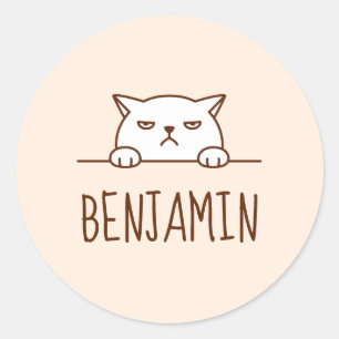 Angry White Cat Beige Custom Name Classic Round Sticker