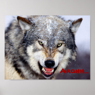 angry wolf poster