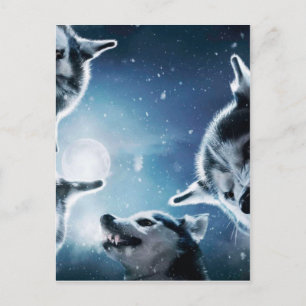 Angry wolves and the moon postcard
