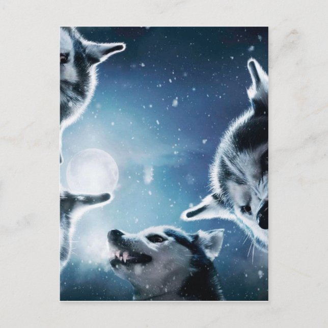 Angry wolves and the moon postcard (Front)