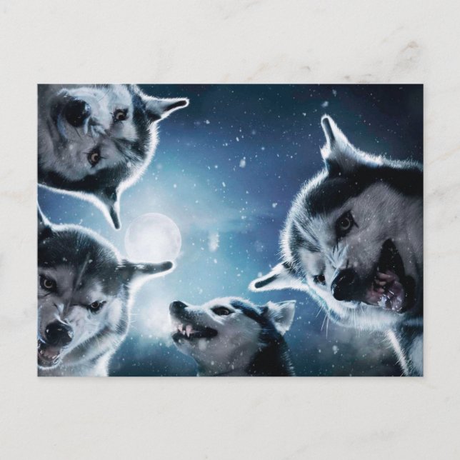Angry wolves and the moon postcard (Front)