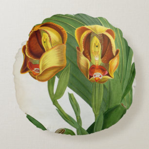 Anguloa Ruckerii Sanguine Lindenia Orchid Round Cushion