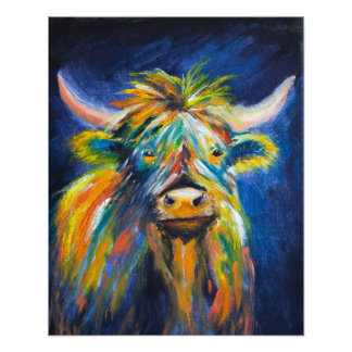 Angus Highland Cow Photo Print