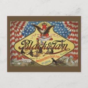 ANHEUSER-BUSH Black & Tan Postcard