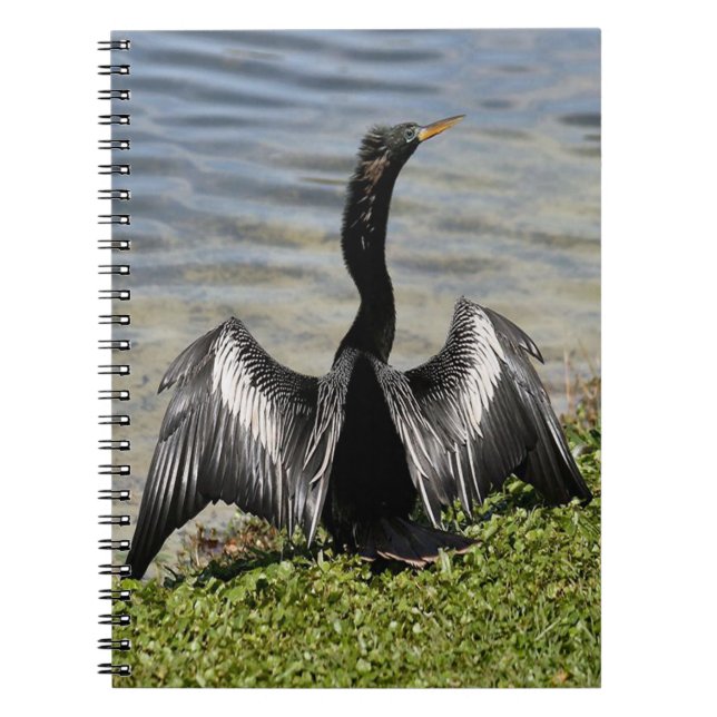 Anhinga Bird Notebook (Front)