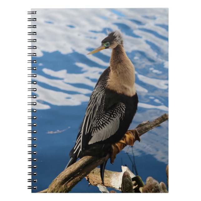 Anhinga Bird Photo Spiral Notebook (Front)