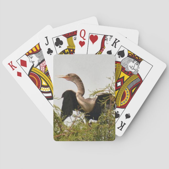 Anhinga Bird Standard Playing Cards (Back)