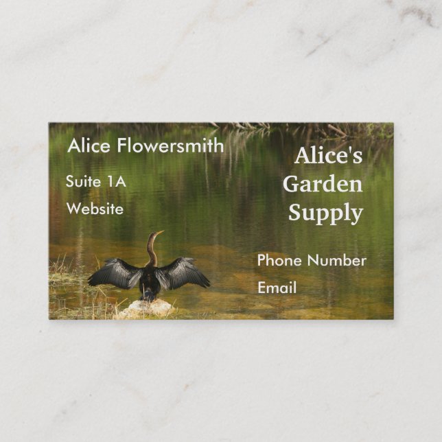 Anhinga in the Everglades - Business Card (Front)