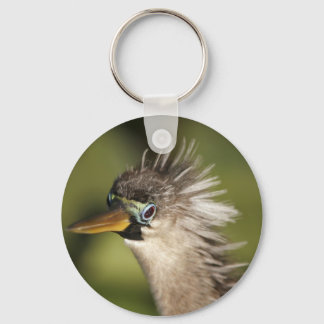 Anhinga Key Ring