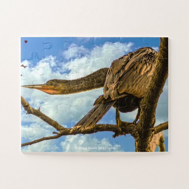 Anhinga Snake Bird Florida Jigsaw Puzzle (Horizontal)