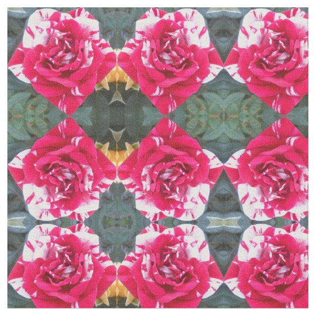 Anicia Fabric (Close Up)