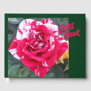 Anicia Guest Book