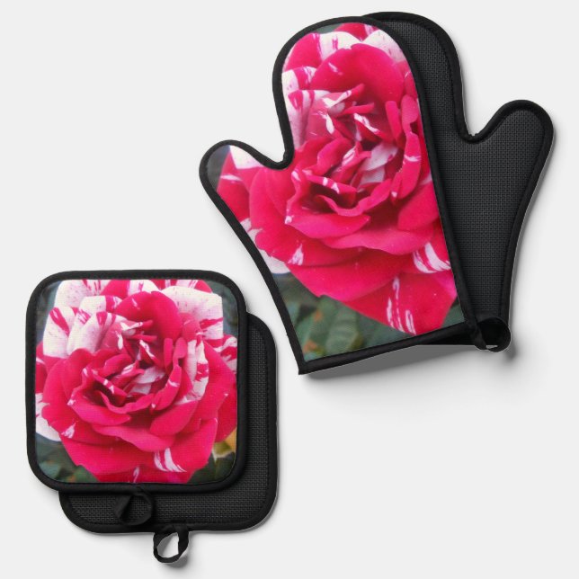 Anicia Oven Mitt & Pot Holder Set (Front/Back)