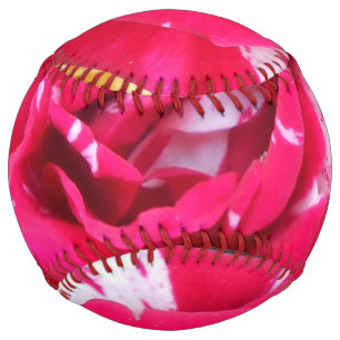 Anicia Softball