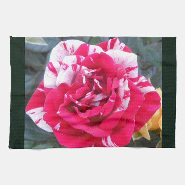 Anicia Tea Towel (Horizontal)