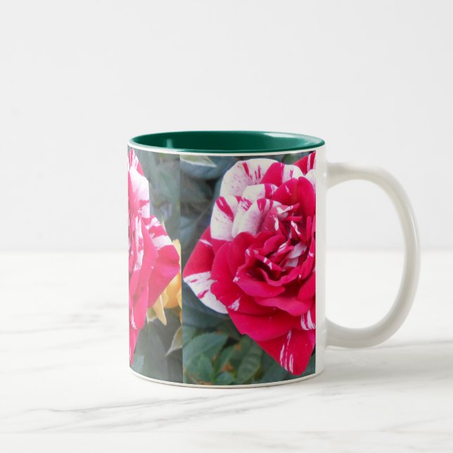 Anicia Two-Tone Coffee Mug (Right)