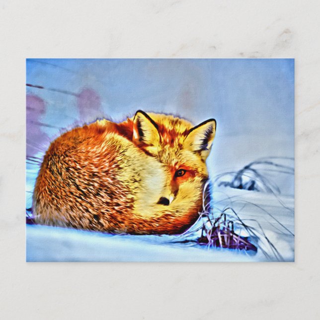 *~* Anima Red Fox Ap18 Artistic Wildlife  Unique Postcard (Front)