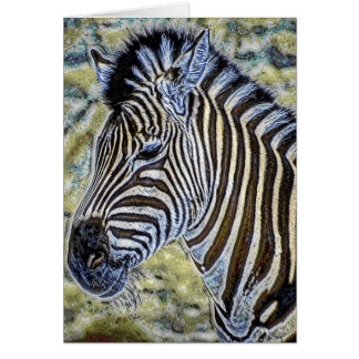 Animal36