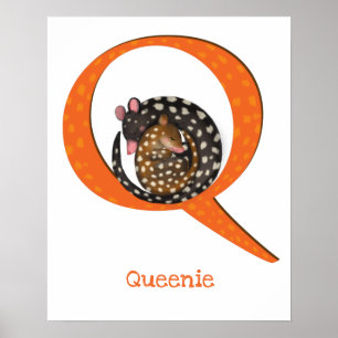 Animal ABC Q is for quoll print