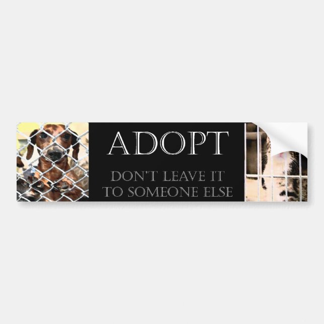 Animal Adoption Bumper Sticker (Front)