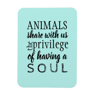 Animal advocate welfare magnet