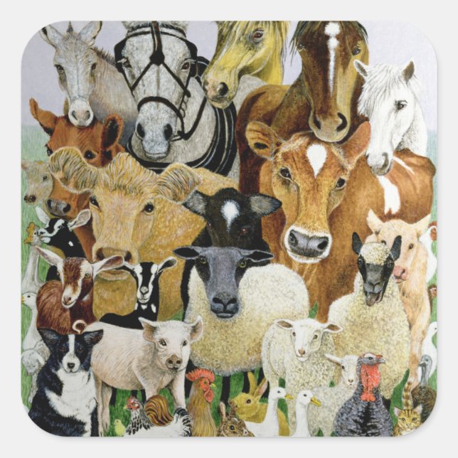 Animal Allsorts Square Sticker (Front)