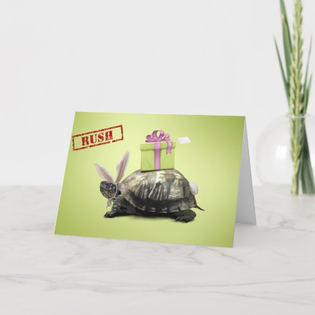 Animal Antics - Birthday, Gift greeting card (Front)