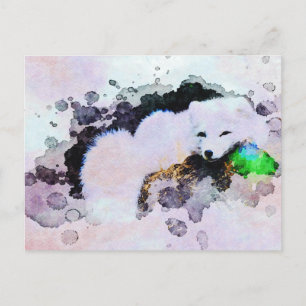 *~* Animal AP18 Snow Fox White Arctic Polar Fox Postcard