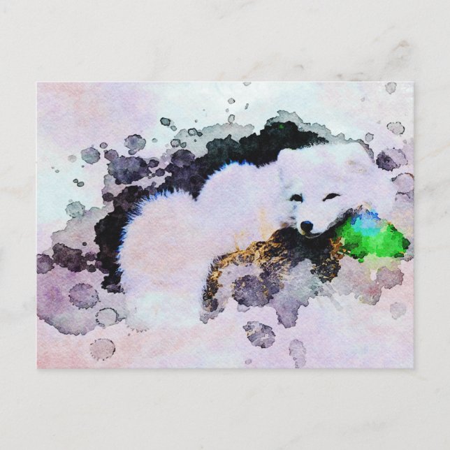 *~* Animal AP18 Snow Fox White Arctic Polar Fox Postcard (Front)