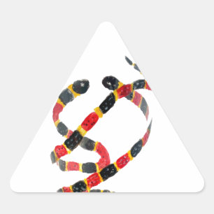 Animal Art Coral Snakes Modern Triangle Sticker