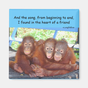 Animal Babies Friendship  3's Not a Crowd Magnet