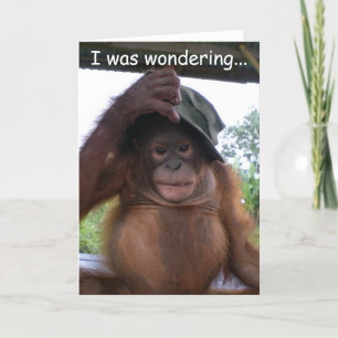 Animal Baby Be My Valentine Holiday Card