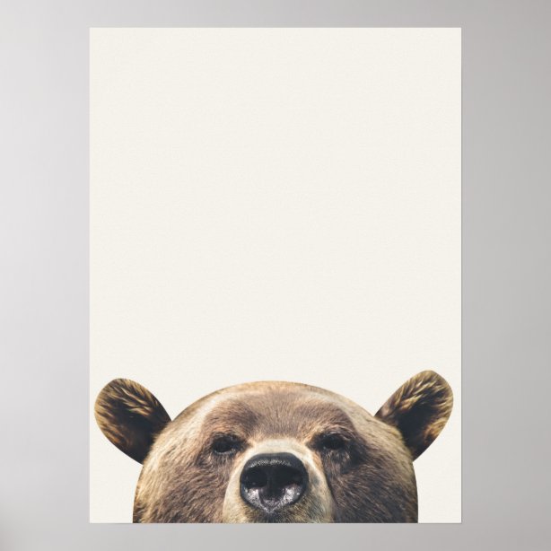 Bear Posters & Photo Prints Zazzle AU