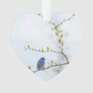 Animal Bird Eastern Bluebird Ornament