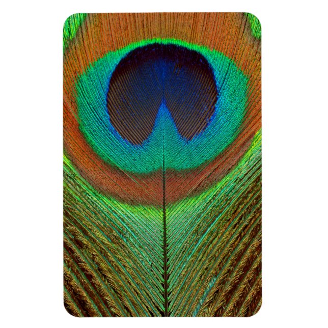 Animal - Bird - Peacock Feather Magnet (Vertical)