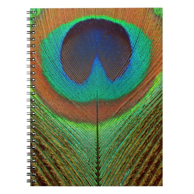 Animal - Bird - Peacock Feather Notebook (Front)