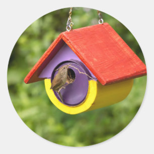 Animal - Bird - The house wren Classic Round Sticker