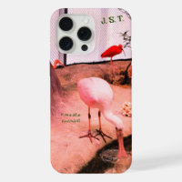 Animal Birds Roseate Spoonbill iPhone / iPad case