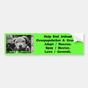 Animal Bumper Stickers