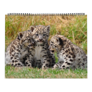 Animal  calendar