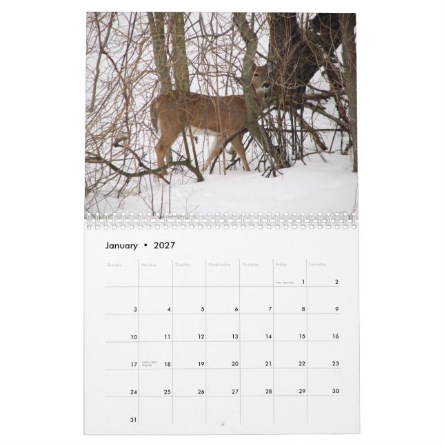 Animal Calendar (Jan 2027)