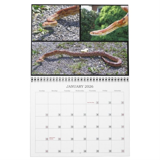 Animal Calendar (Jan 2026)