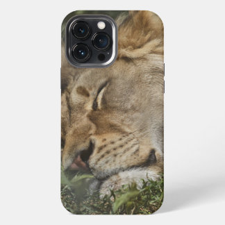 Animal Case-Mate iPhone case