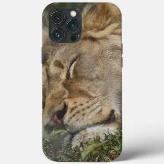 Animal Case-Mate iPhone case