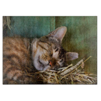 Animal - Cat - Cat nap  Cutting Board