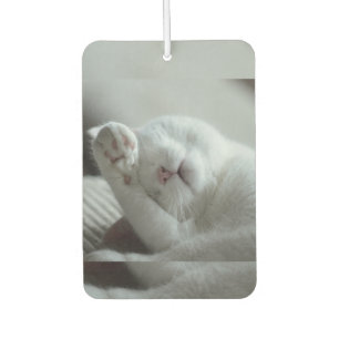 Animal, Cat, Feline Car Air Freshener