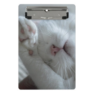 Animal, Cat, Feline Mini Clipboard