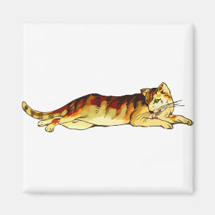 Animal Cat Mammal Pet Magnet